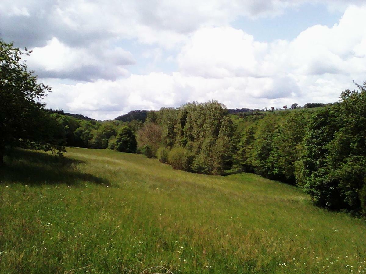 Chateau De La Lucaziere Mont-Saint-Jean  Exteriör bild